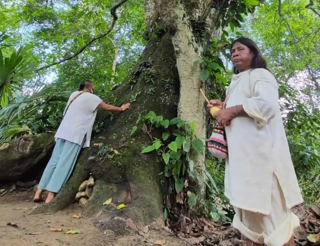 fotos de las rutas de intercambio cultural en la sierra nevada de santa marta