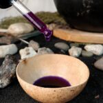 Tintura madre de clitoria flor neuro protectora natural